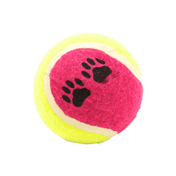 Shop Secondary Image