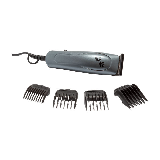 Shop Secondary Image