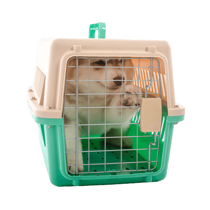 Shop Secondary Image