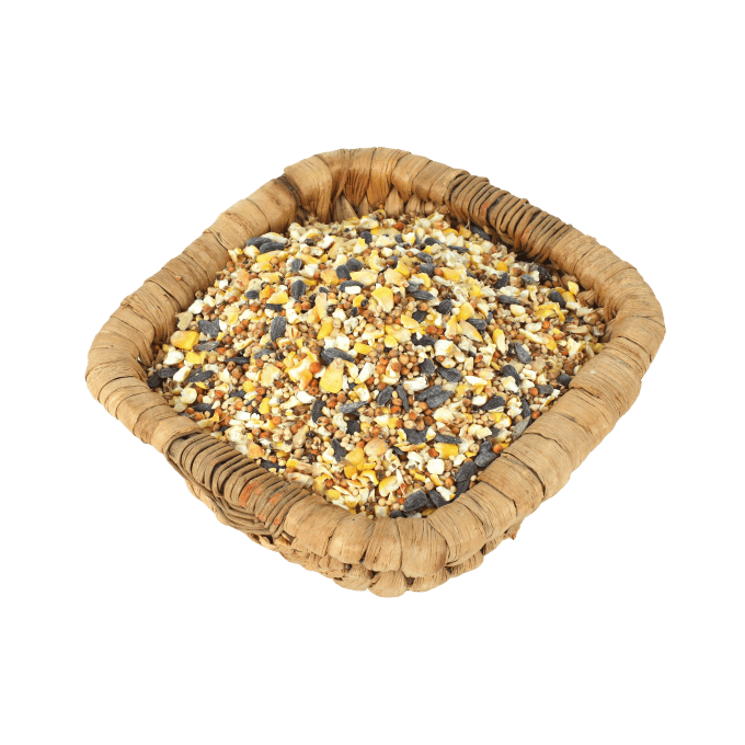 Shop Secondary Image