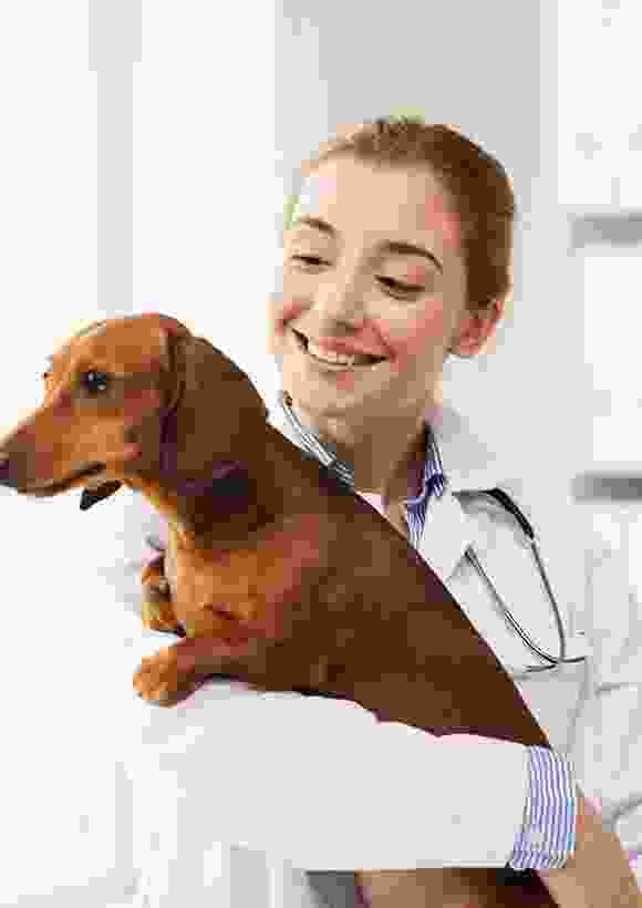 testimonial-another-side-image-1